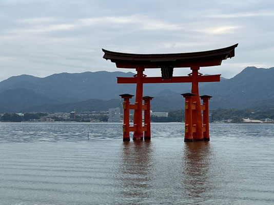 SPOGOMI-Weltmeisterschaft in Japan – Aufnahme 28